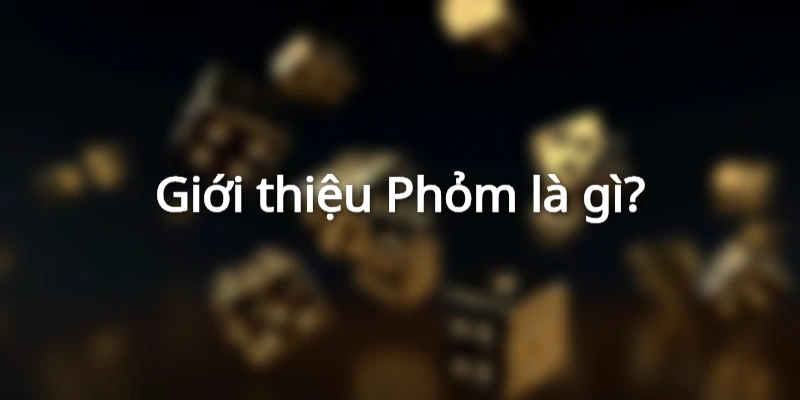 gioi-thieu-phom-la-gi