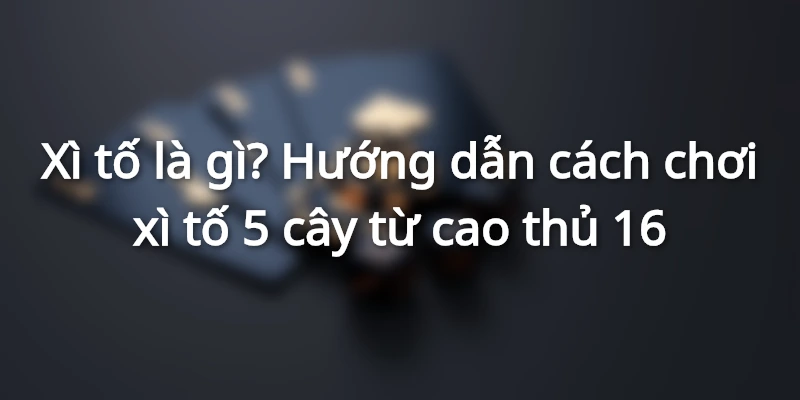 xi-to-la-gi-huong-dan-choi-xi-to-5-cay