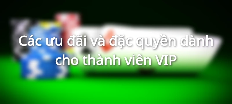 Các ưu đãi và đặc quyền dành cho thành viên VIP