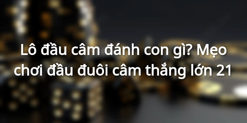 kinh-nghiem-choi-dua-vao-cac-dau-duoi-cam-khong-ve