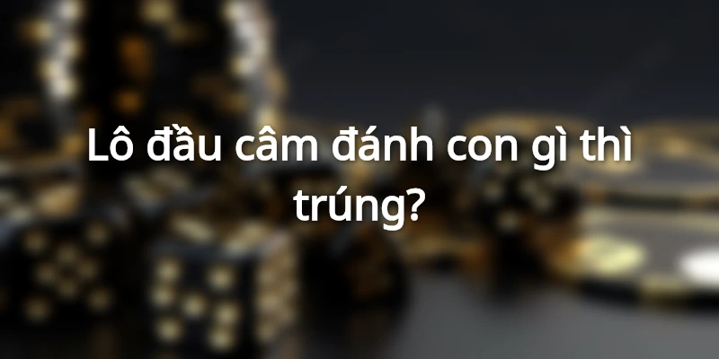 lo-dau-cam-danh-con-gi-thi-trung