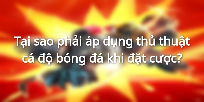 Lý do bạn nên sử dụng thủ thuật cá độ bóng đá