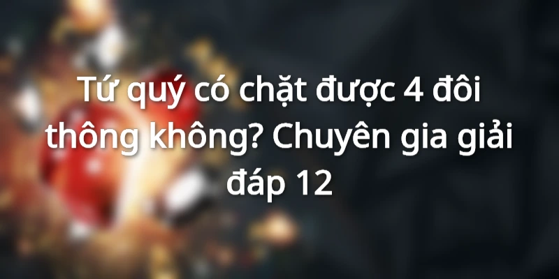 tim-hieu-tu-quy-co-chat-duoc-4-doi-khong