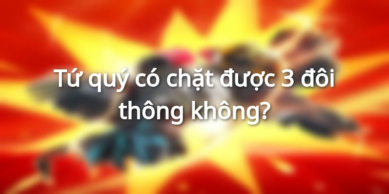 tu-quy-co-chat-duoc-3-doi-thong-khong
