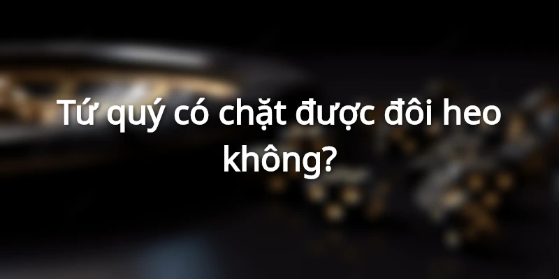 tu-quy-co-chat-duoc-doi-heo-khong